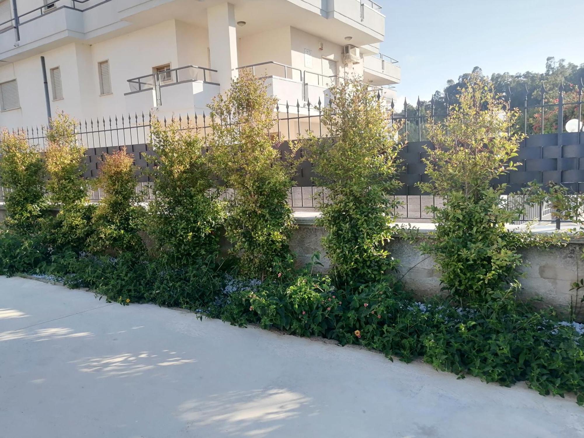 Residence Mare Azzurro Balestrate Kültér fotó